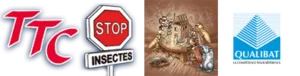 TTC STOP INSECTES, entreprise adhérente au SNAPB